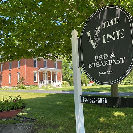 The Vine Bed & Breakfast, Llc ダンディー エクステリア 写真