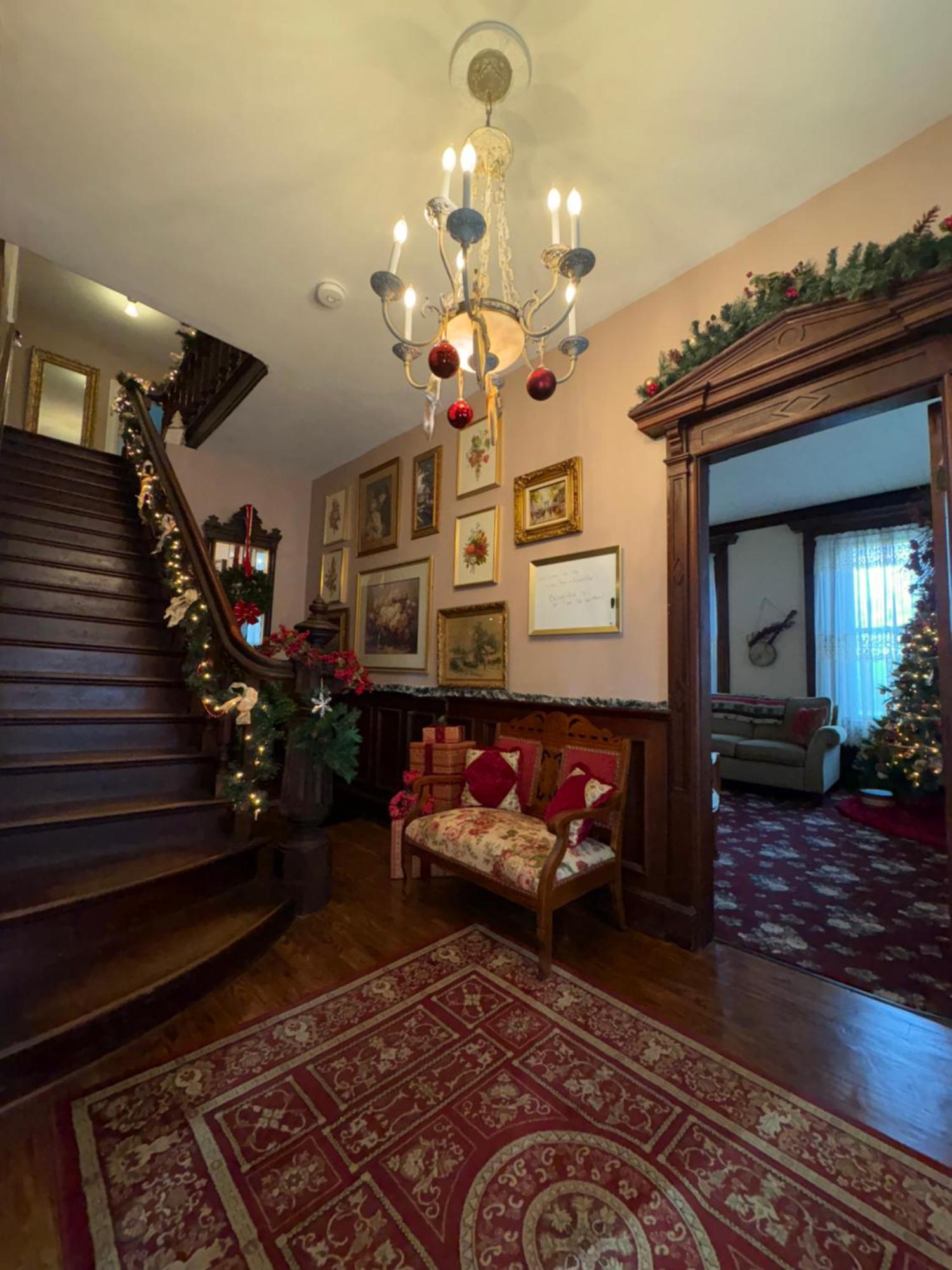 The Vine Bed & Breakfast, Llc ダンディー エクステリア 写真
