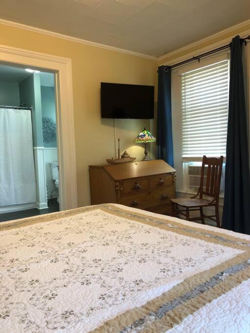 The Vine Bed & Breakfast, Llc ダンディー エクステリア 写真