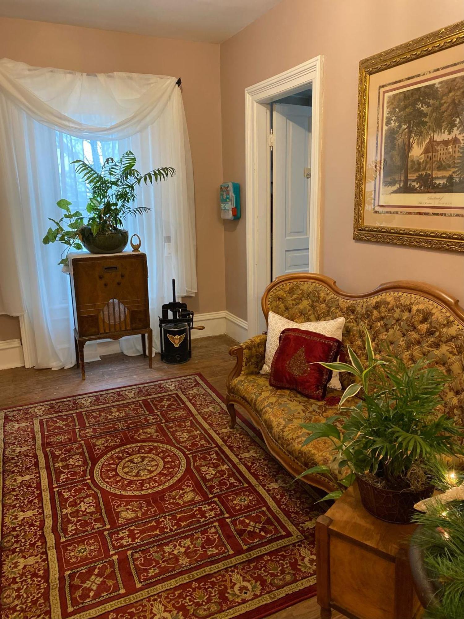 The Vine Bed & Breakfast, Llc ダンディー エクステリア 写真