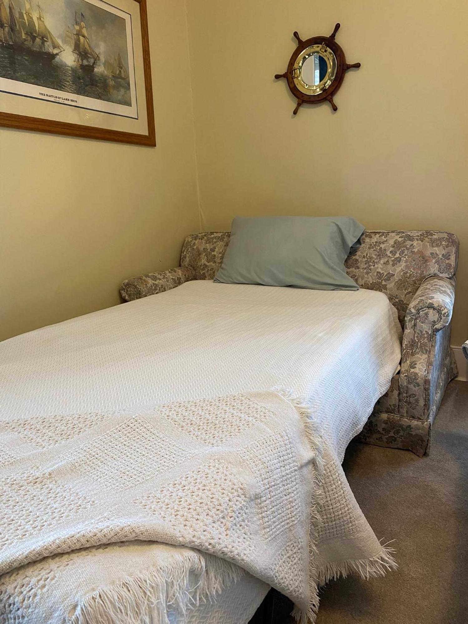 The Vine Bed & Breakfast, Llc ダンディー エクステリア 写真